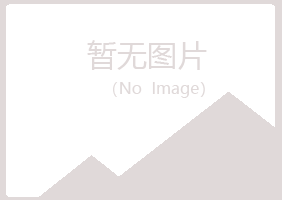 静宁县山柳能源有限公司